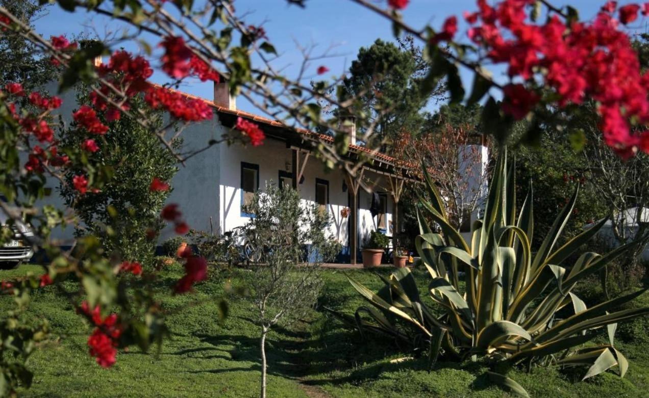Monte Da Choca Pension São Teotónio Buitenkant foto
