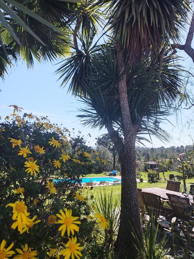 Monte Da Choca Pension São Teotónio Buitenkant foto